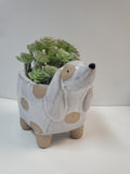 Dog Planter