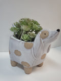 Dog Planter
