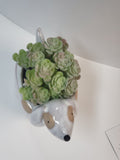 Dog Planter