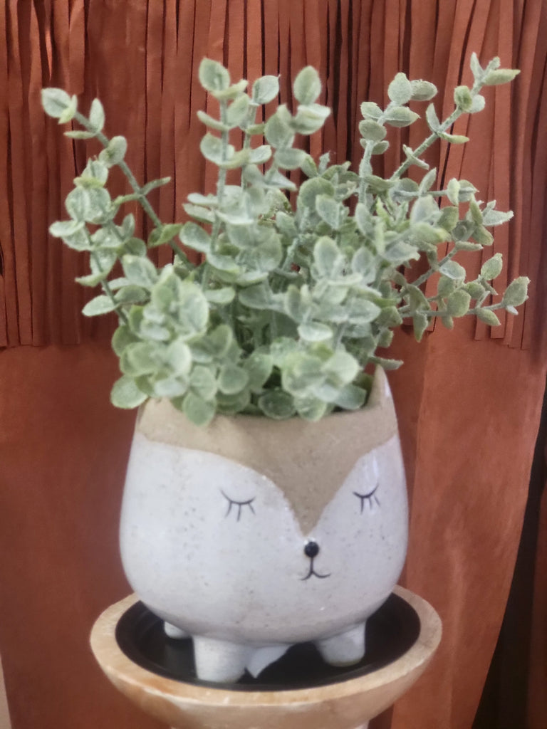 fox pot plant Fox Planter & Plant – Betts and Coops Boutique