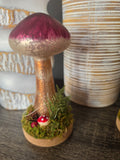 Decorative Mushrooms