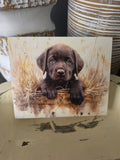 Wood Block Signs(Assorted)