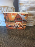 Wood Signs (Assorted 2)