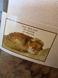 Purr-fect spot drying mat