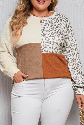 Colorblock Top