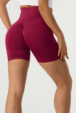 High Waist Wide Waistband Active Shorts